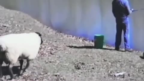 Watch the Water