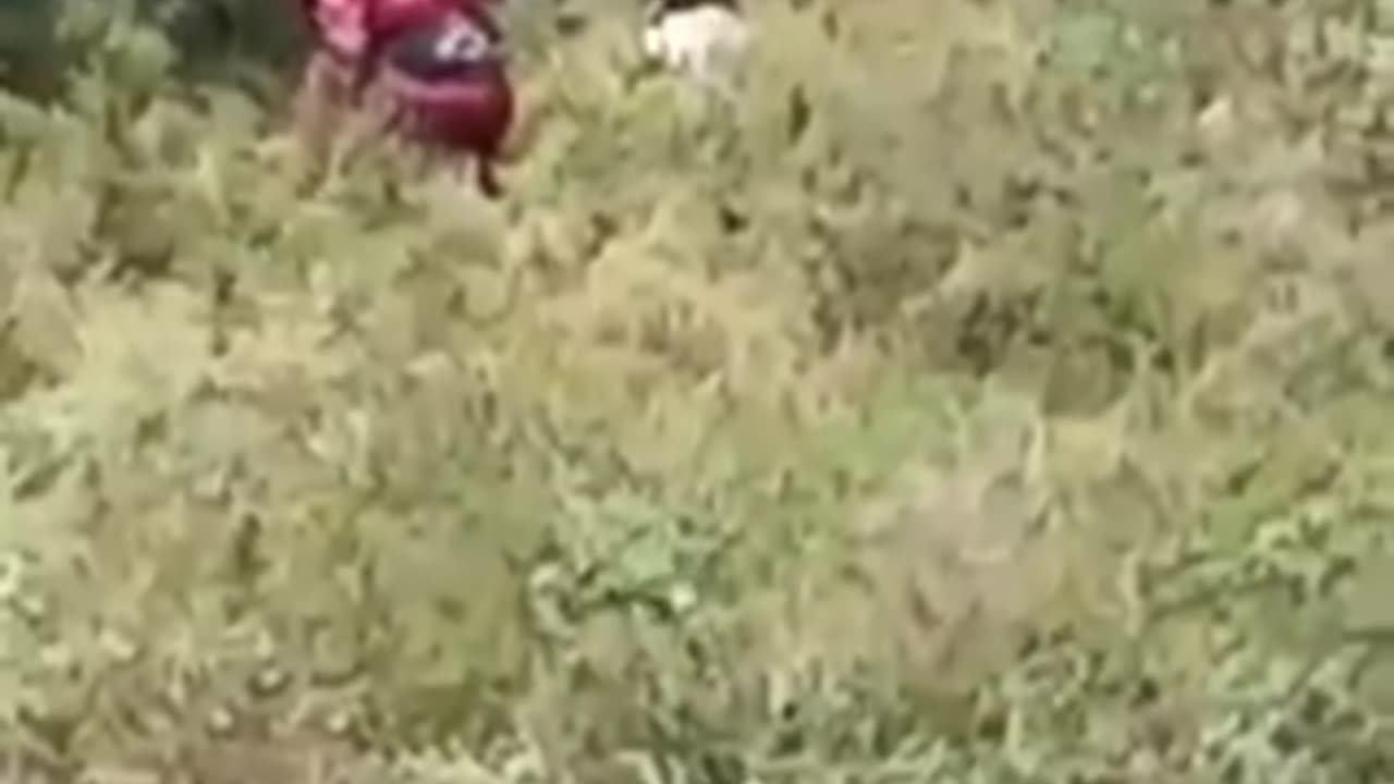 What are you doing up there..😂🤣