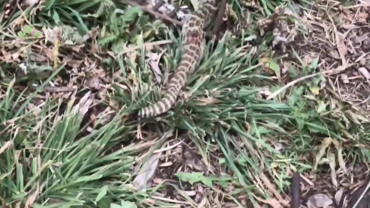 Nathan Reynolds(The Linen Railroad)Sell Your Cloak: Buy a Sword