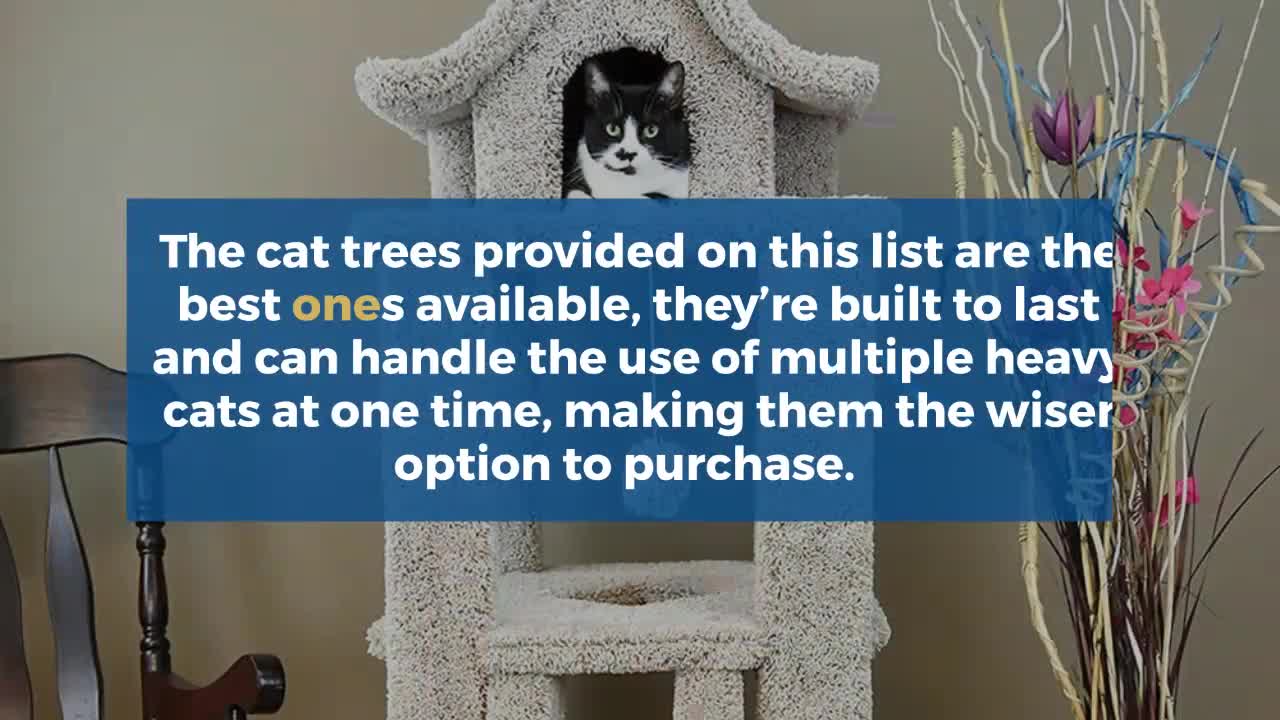 Best Cat Trees For Large Cats