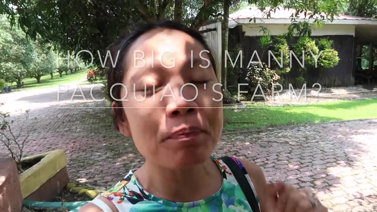 How Big Is Manny Pacquiao's Mango Farm?