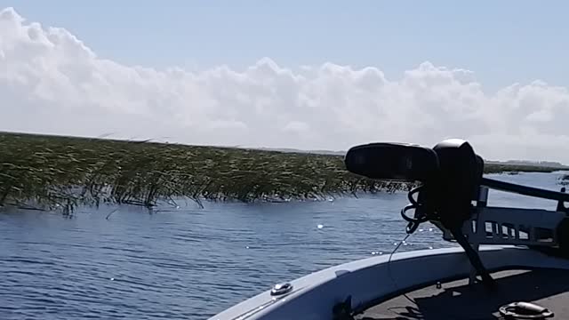 Okeechobee morning.