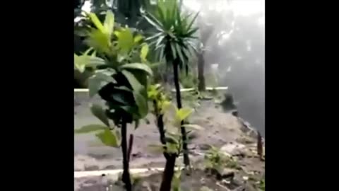 World Is Strange pt.114