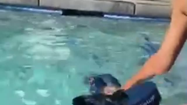 Kid has a blast playing with cool underwater scooter👏🏽