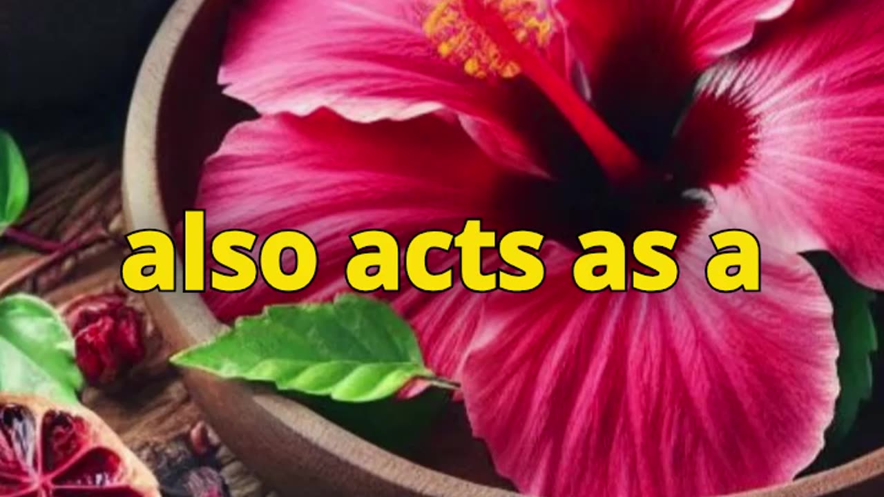 Hibiscus: A Natural Ally for Digestion and Fluid Balance