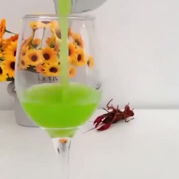 Aliexpress Products 2024