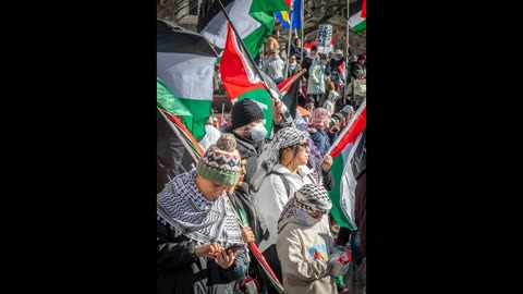 Echoes of Despair: The Gaza Tragedy That Shook the World