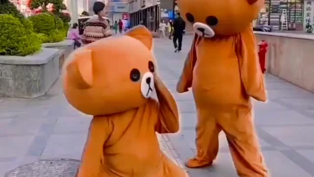 Funny teddy bear video