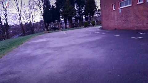 RC car temu upgraided