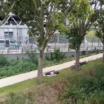 Gold Medal Winning Swimmer Found Sleeping in a Park