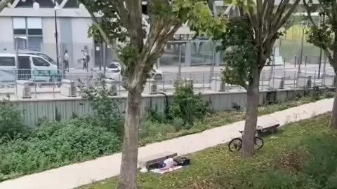 Gold Medal Winning Swimmer Found Sleeping in a Park