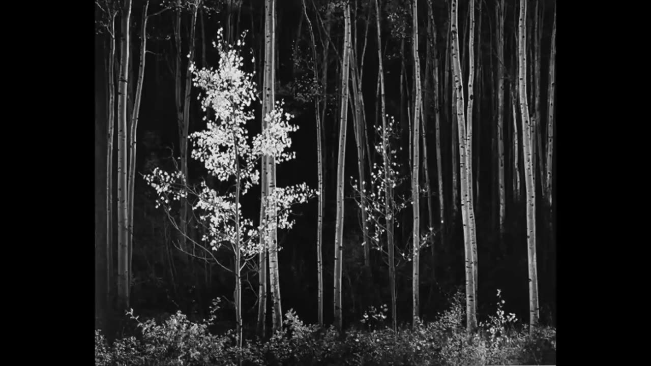 Ansel Adams