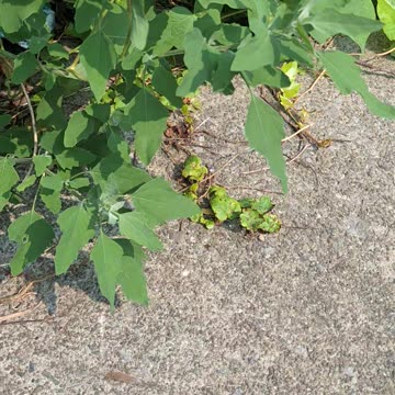 Nature is so amazing and beautiful