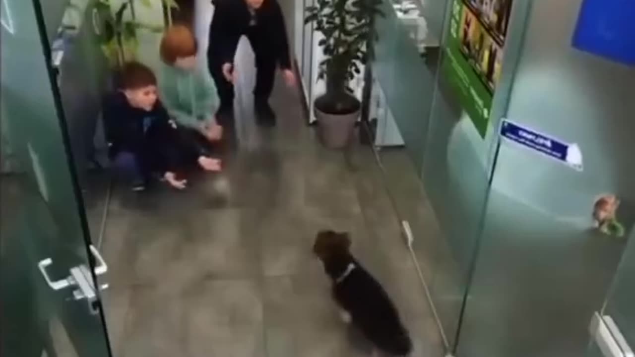 Kids saved dog