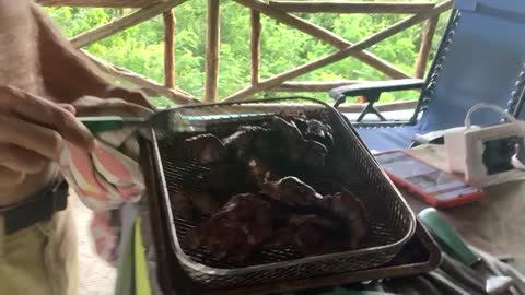 Air fryer chicken liver and gizzards yummy farm to table