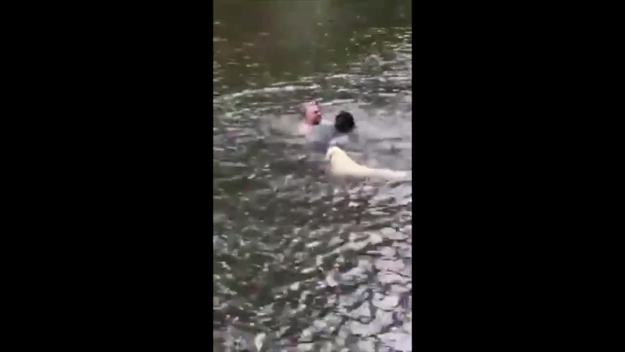 Adorable dog save his master from the water