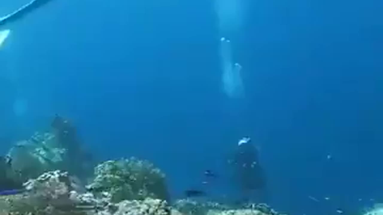 Earthquake Underwater