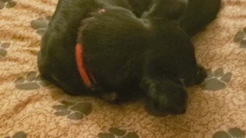 Matthew 25 the coins