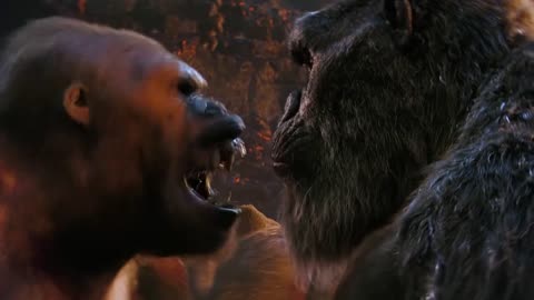 kingkong movie scene part 2