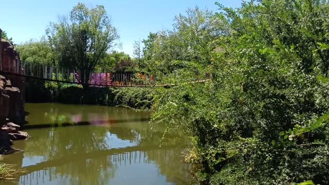 A view of the lake