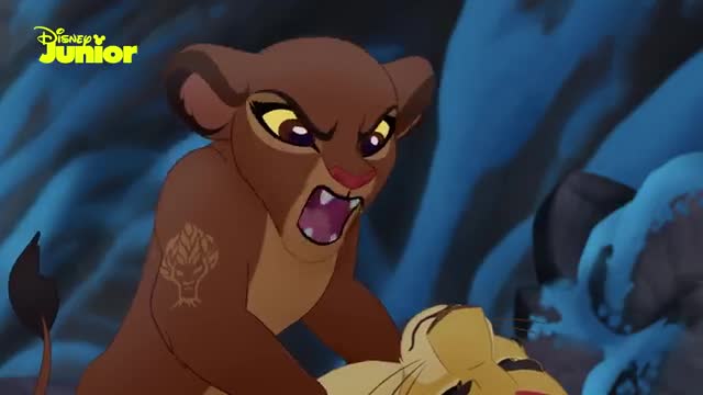 The secret of wild animals.