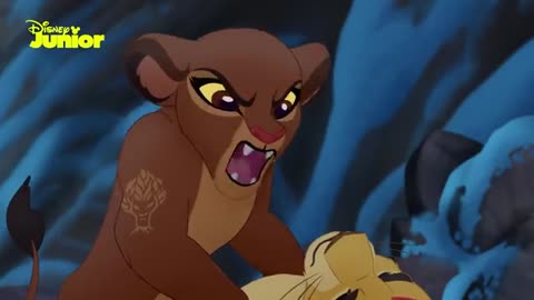 The secret of wild animals.