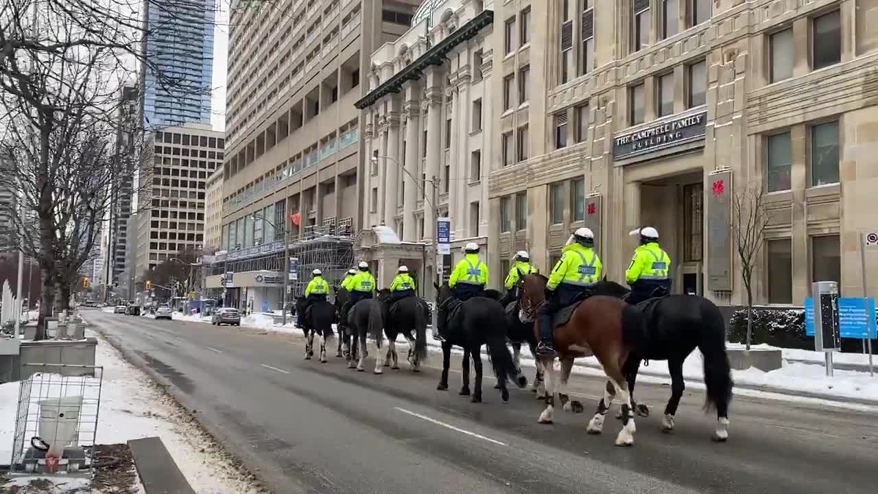 Mounted Police in Toronto