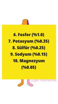 En büyük karbon insandır