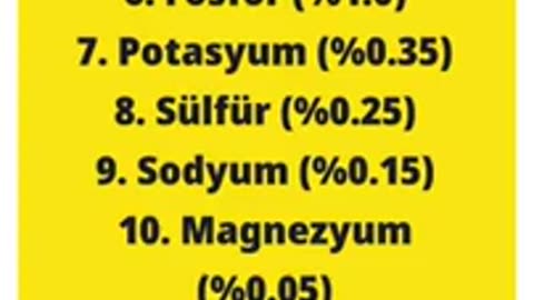 En büyük karbon insandır