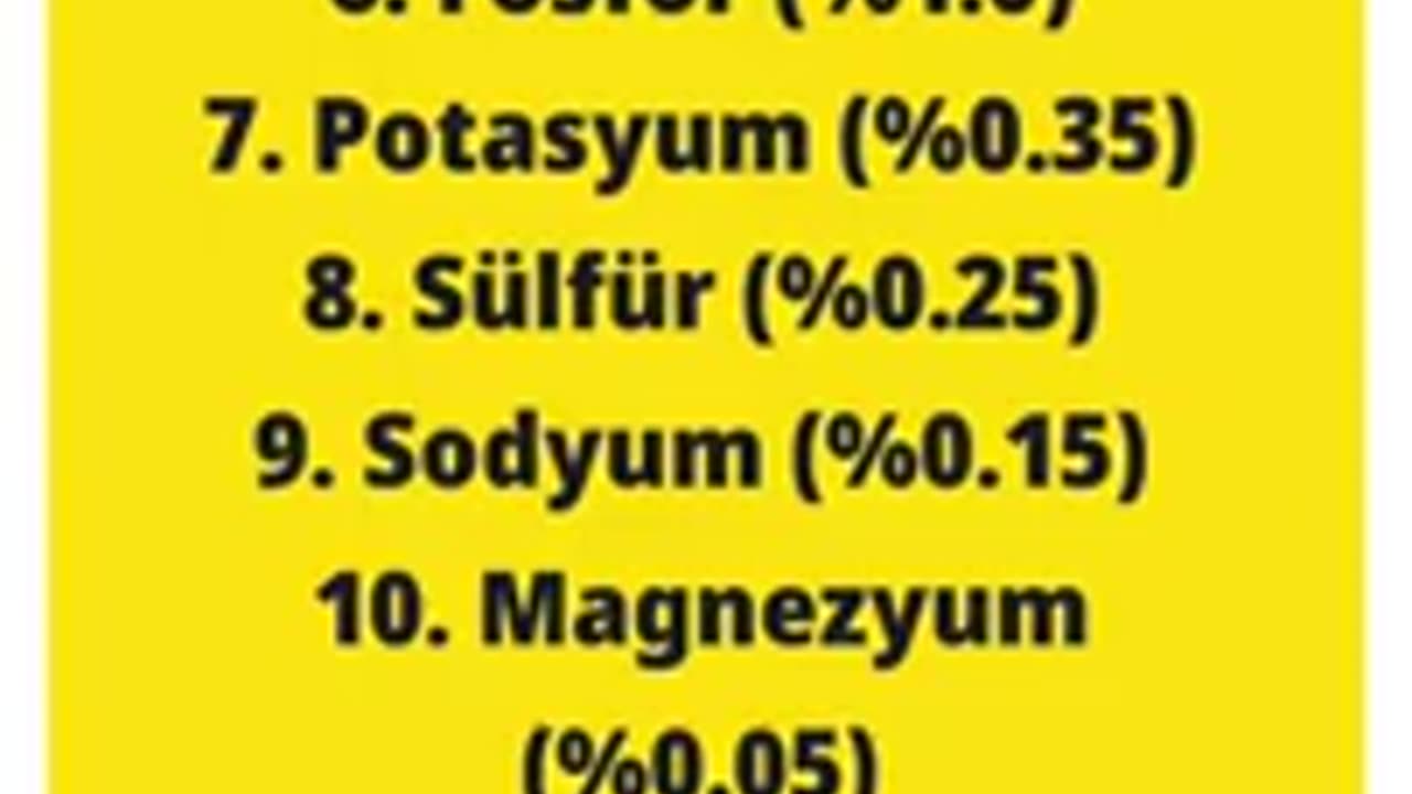 En büyük karbon insandır