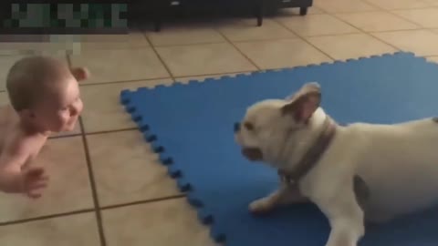 Babies playing with dog Love