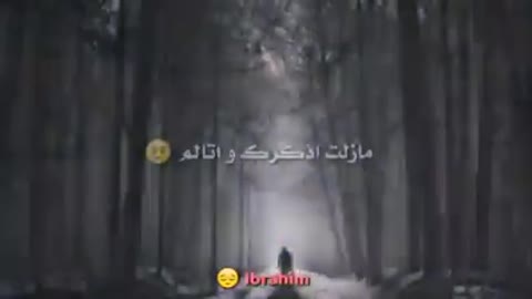 ابي فقدتك