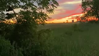 Georgetown farmland sunset