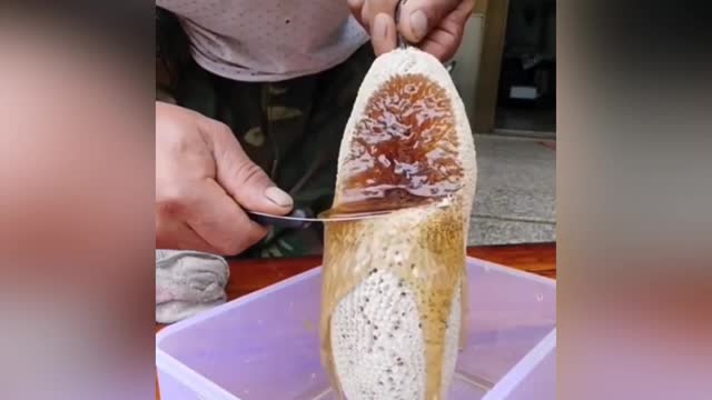 Don't buy honey 🐝 without watching this video