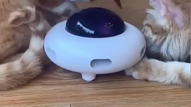 Automatic_Feather Teaser Cat Toys Random Interacti