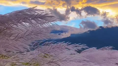 The mountains and rivers are far and wide, the fireworks in the world