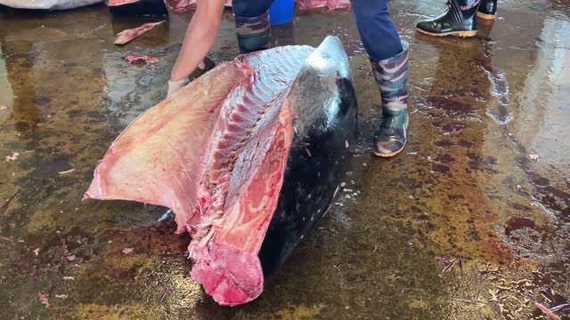 Amazing huge bluefin cutting skills 3of8 - The most popular way to kill fish