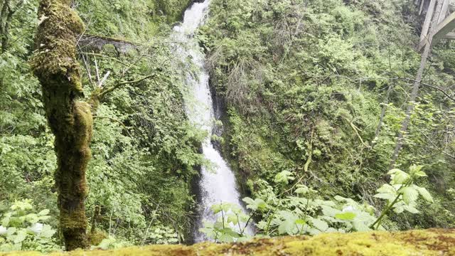 Leaving Shepperd's Dell Waterfall – Columbia River Gorge National Scenic Area – Oregon – 4K