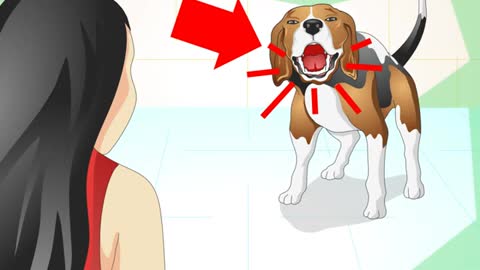 Signs of a dog you should know