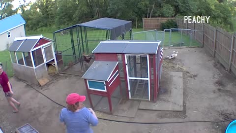 Ladies FAILS on SECURITY CAMERAS Compilation 👀🤣 _ BEST Fails _ Peachy 2023