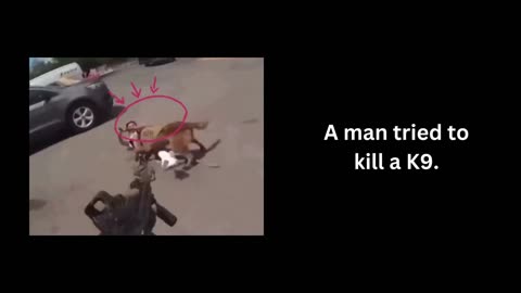 A man tried to kill a K9.