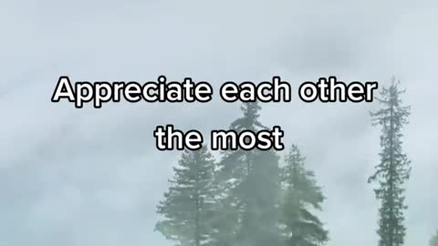 Relationship Facts #30