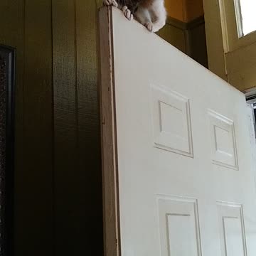 How did you get up there?