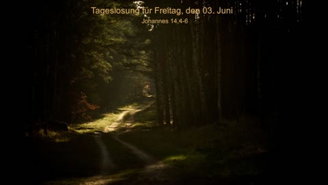 Tageslosung für Freitag, den 03. Juni