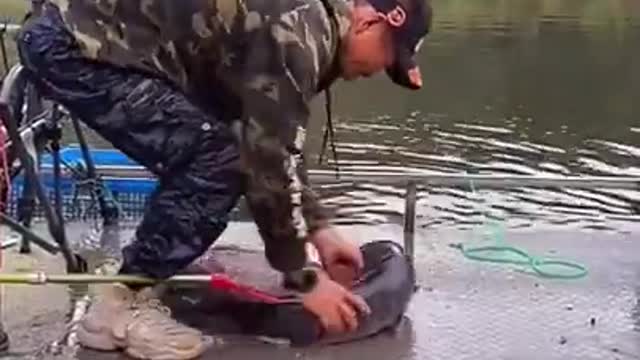 Amazing Fishing Caught on Camera 😀