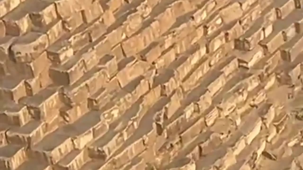 A dog climbed all the way up the Great Pyramid of Giza!