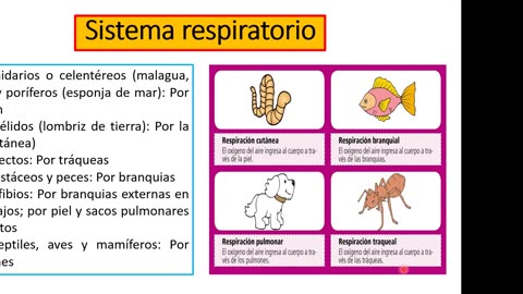 ADC SEMESTRAL 2022 Semana 05 BIOLOGIA