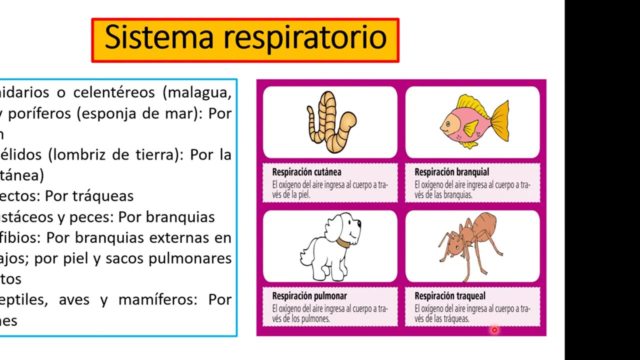 ADC SEMESTRAL 2022 Semana 05 BIOLOGIA