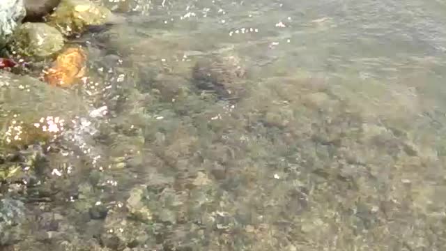 Calmness of the Sound of Living Water in the River