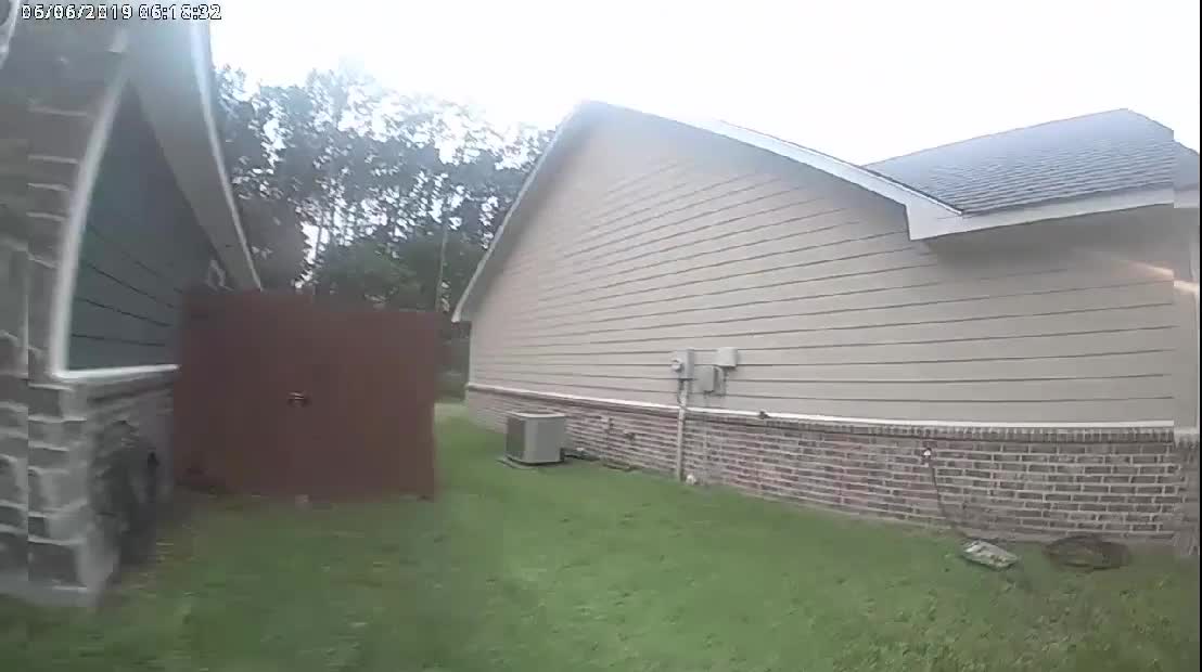 Hilarious video of a texas police discovering a 4-legged intruder
